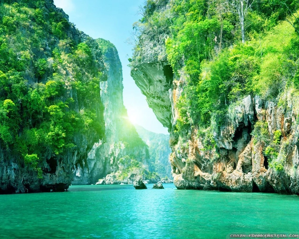 Summer Nature Wallpapers   Crazy Frankenstein