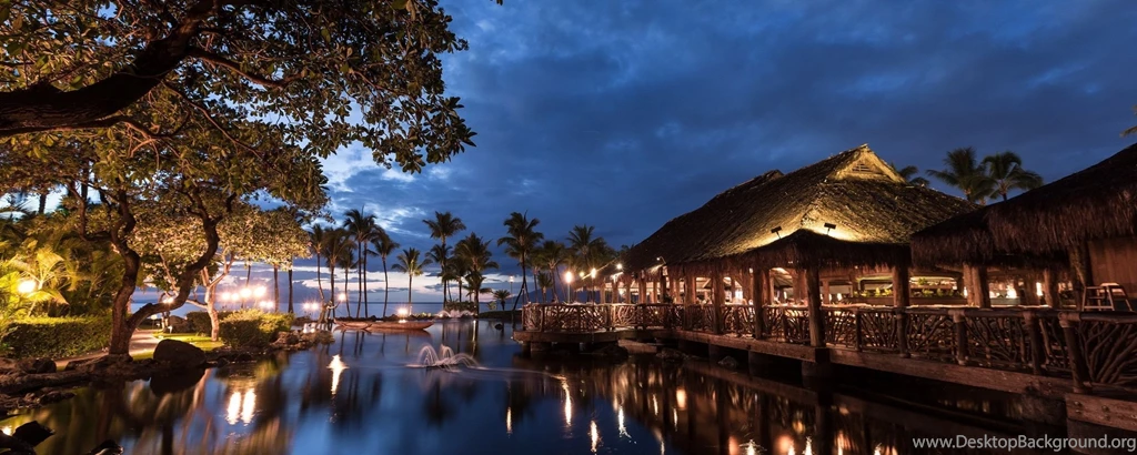 Download Wallpapers 2560x1024 Hawaii, Light, Sea, Palm Trees, Night ...