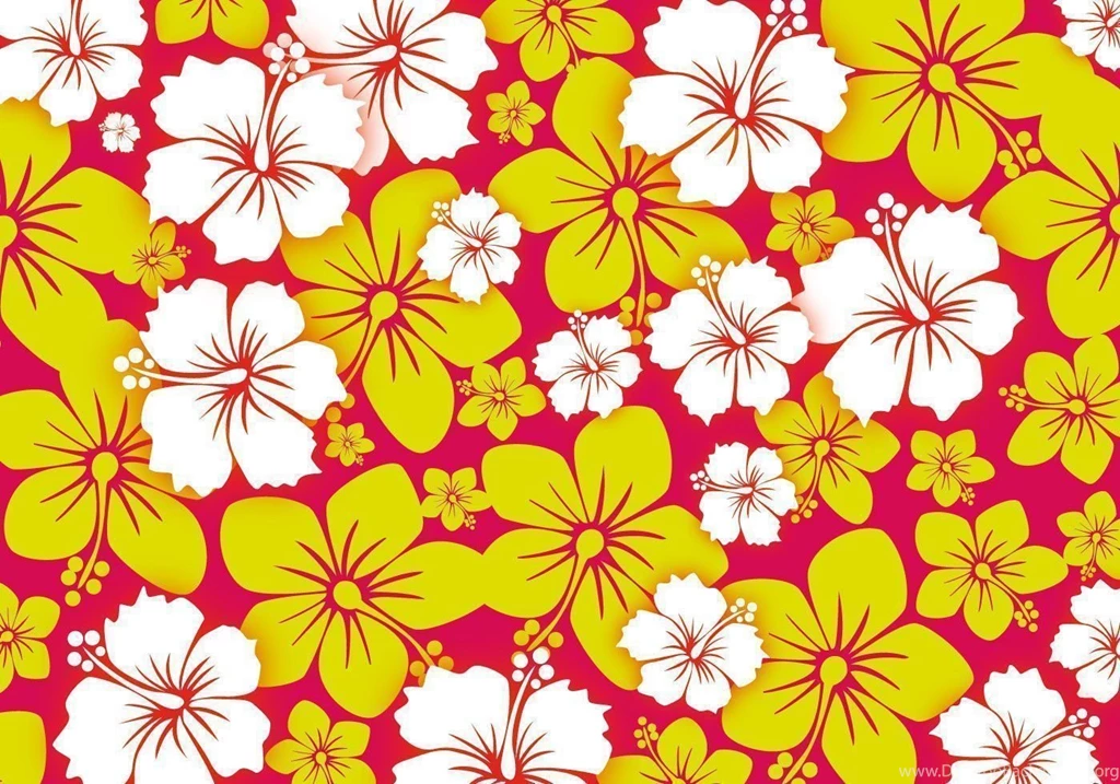 Hawaii Vector Graphics And Icons