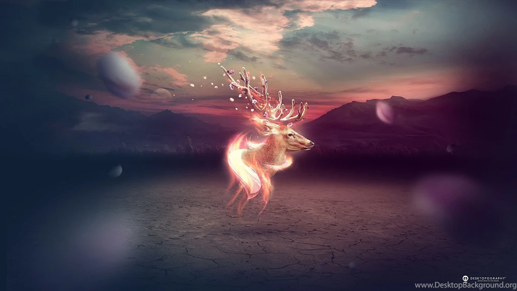 13 Deer HD Wallpapers