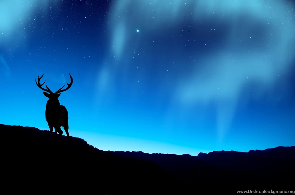 Deer And Northern Lights Computer Wallpapers, Desktop Backgrounds ...