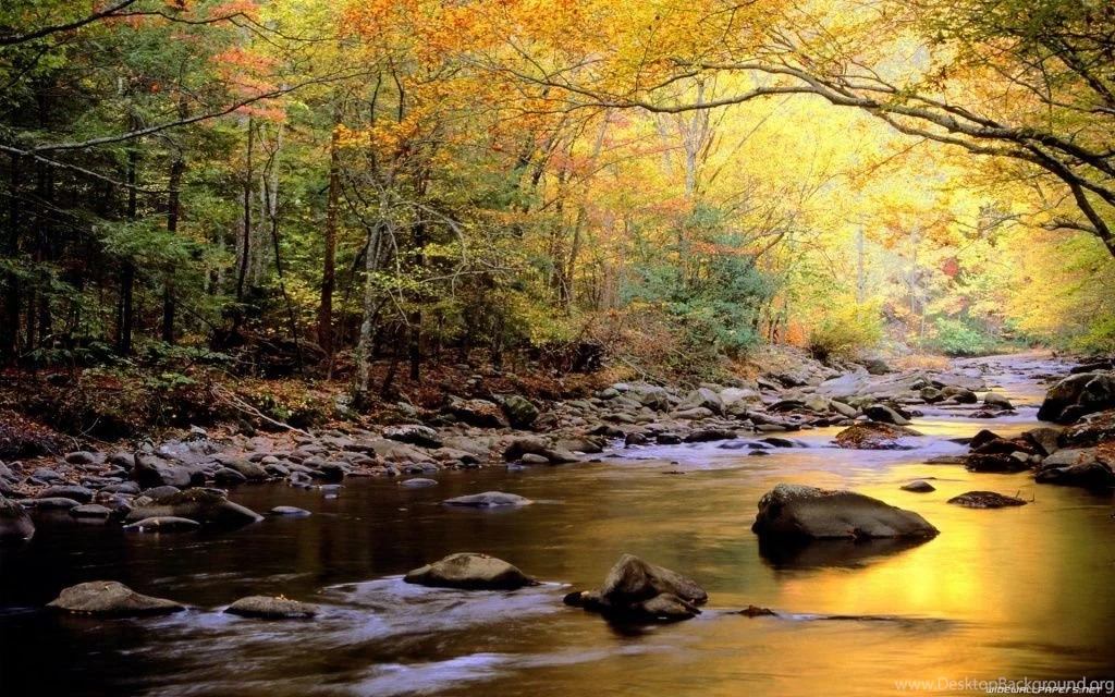 Nature HD Wallpapers