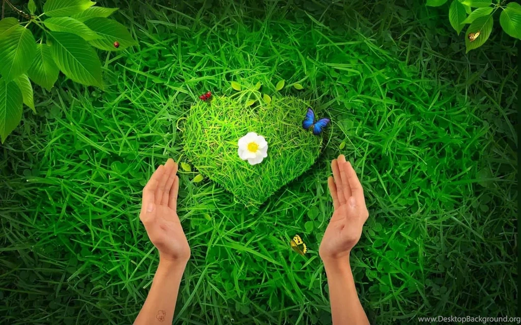 Nature HD Wallpapers 1080p