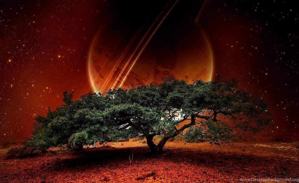 Top Ten Most Amazing Nature Wallpapers