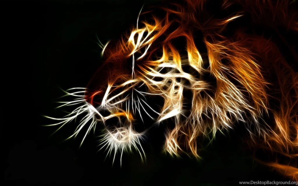 Tiger Computer Wallpapers, Desktop Backgrounds