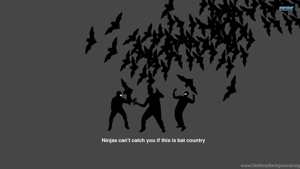 Ninjas Can't Catch You If This Is Bat Country Wallpapers Meme ...