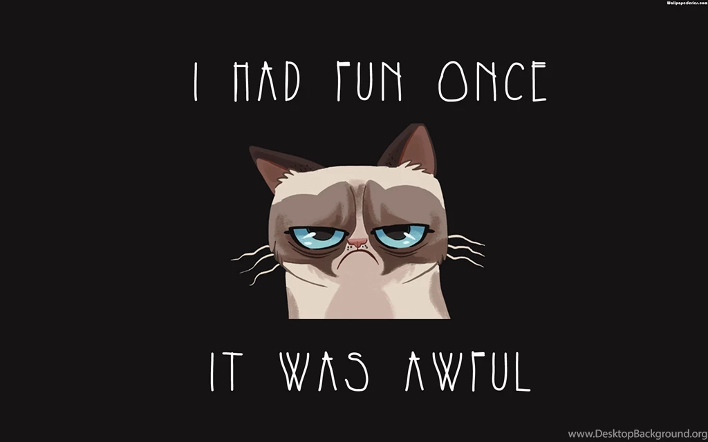 MEME WALLPAPER WIN075 Wallpaperinside