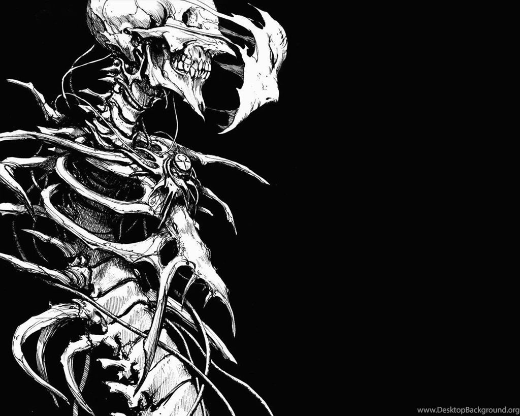129 Skeleton HD Wallpapers