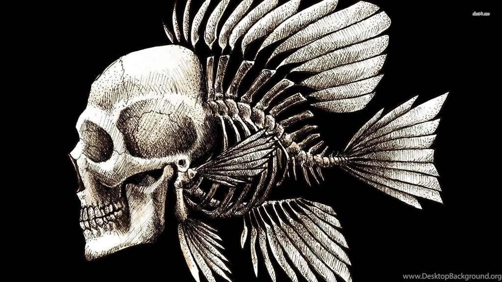 Human Skull With Fish Skeleton Wallpapers Digital Art Wallpapers ...