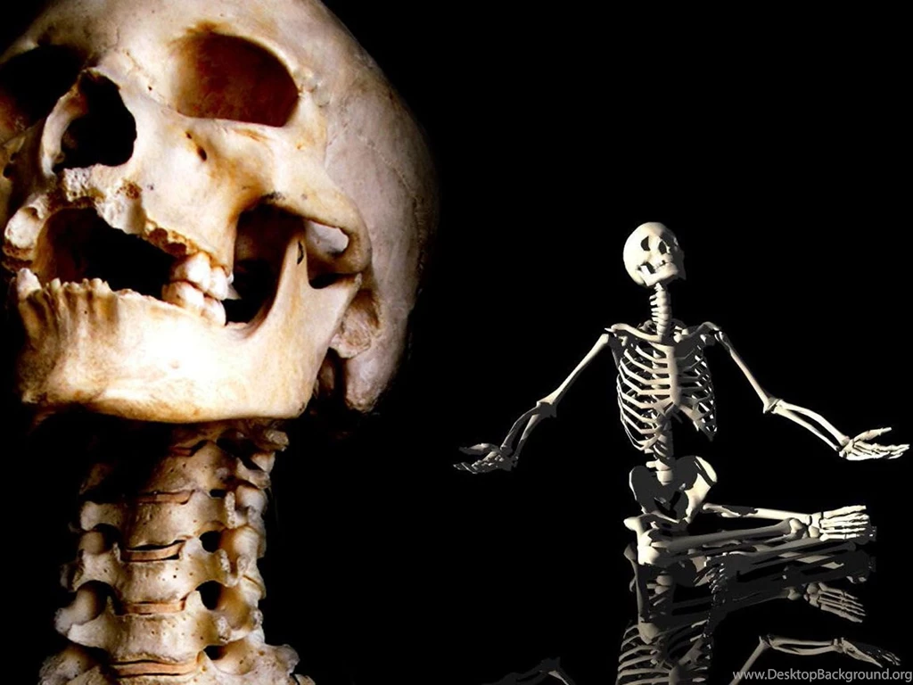 Wallpaper: Skeleton Wallpapers