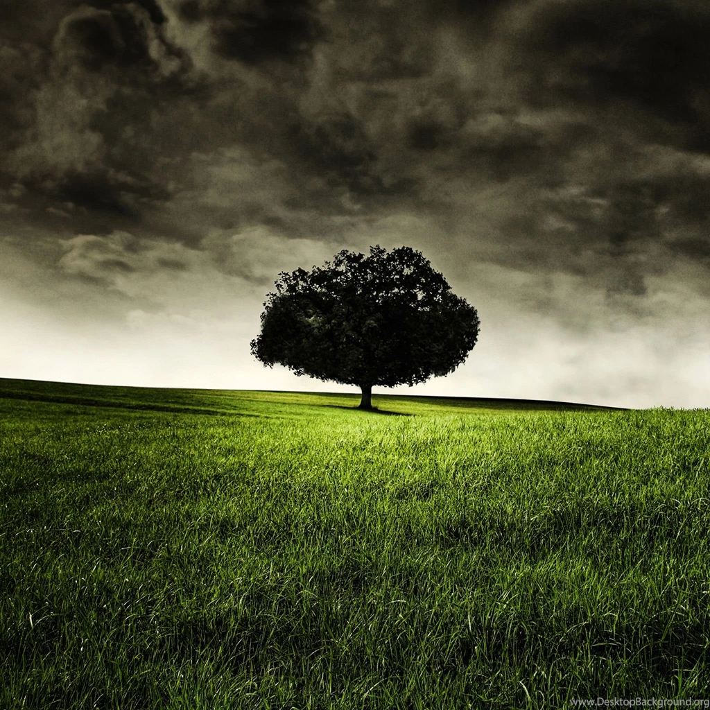 Most Popular iPad Wallpapers