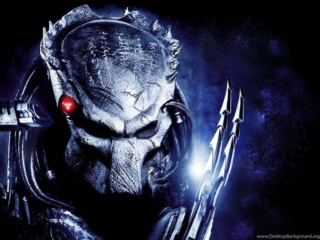 Wolf Predator Wallpapers Wallpaper.