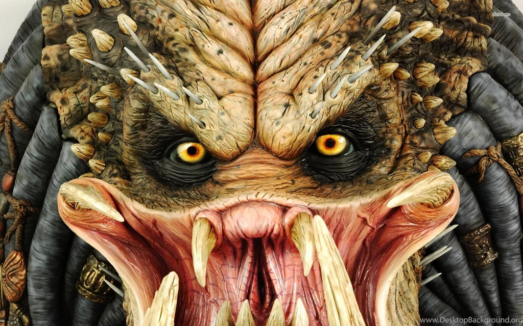 Predator Wallpapers Movie Wallpapers
