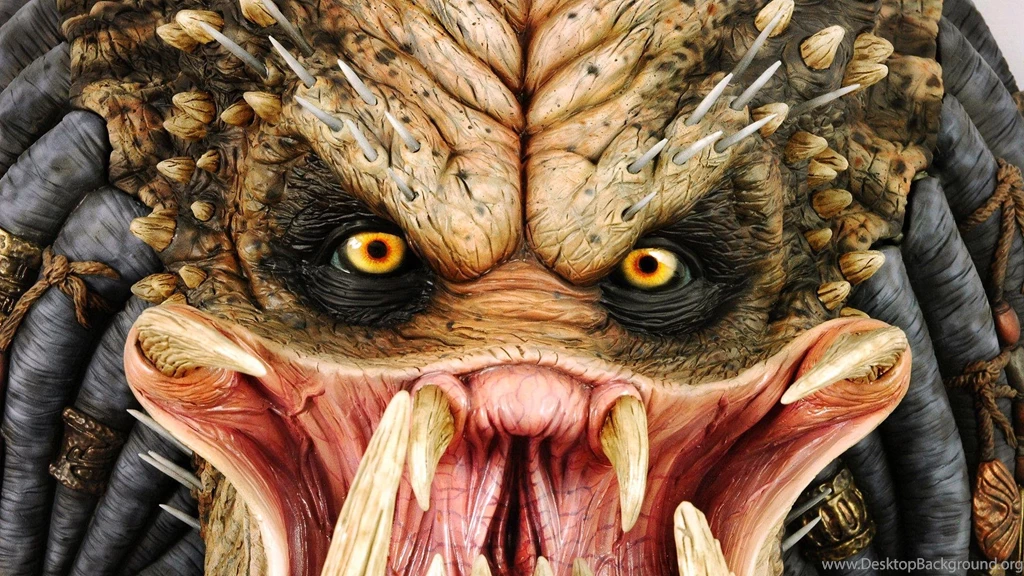 Predator >> HD Wallpaper, Get It Now!