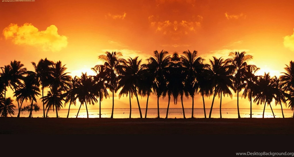 California Wallpaper.
