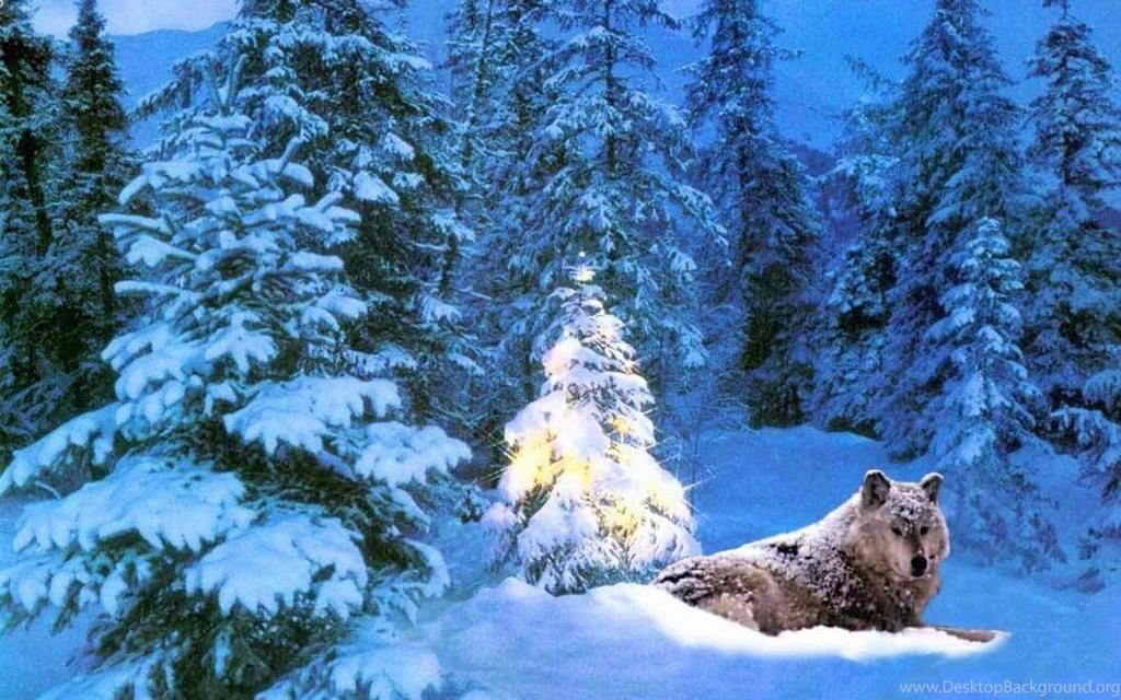 Free Christmas Desktop Wallpapers Images, Photos, Pics, Pictures ...