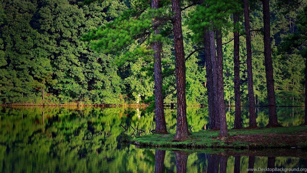 2560X1440 Wallpapers