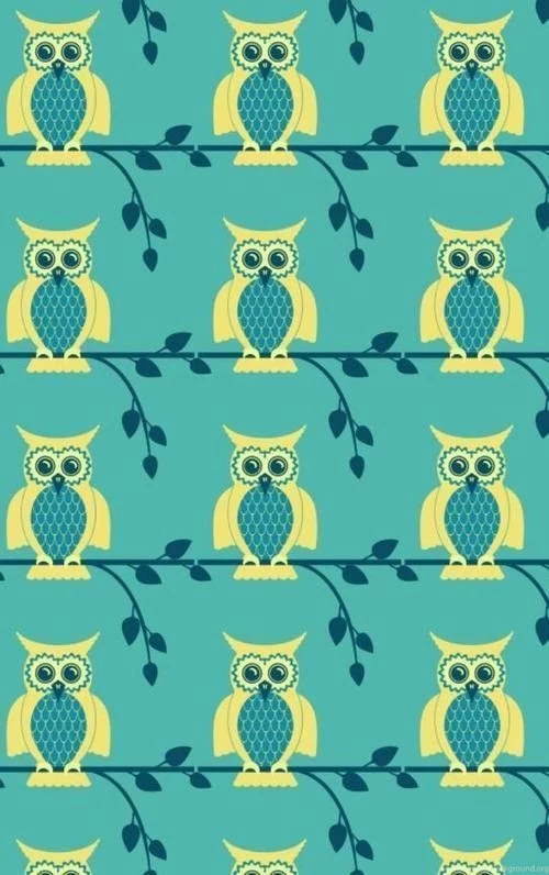Cute Owl Wallpapers