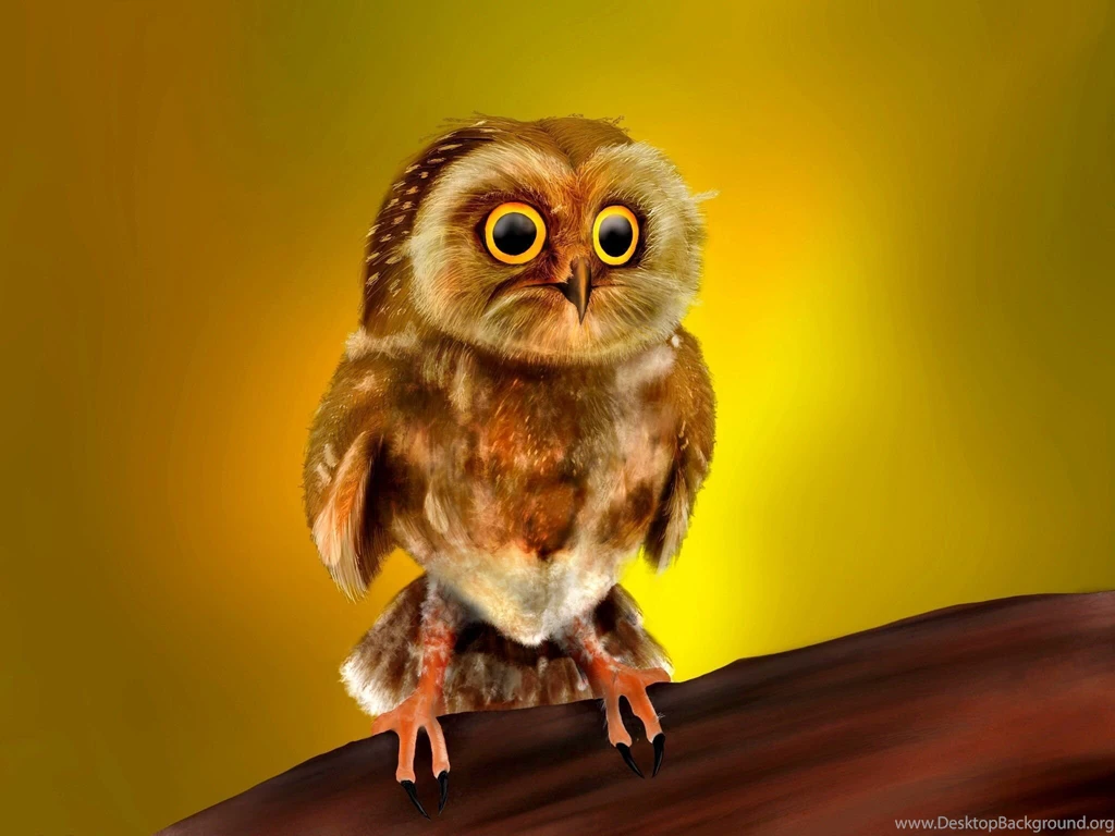 Cute Owl Wallpapers Full HD