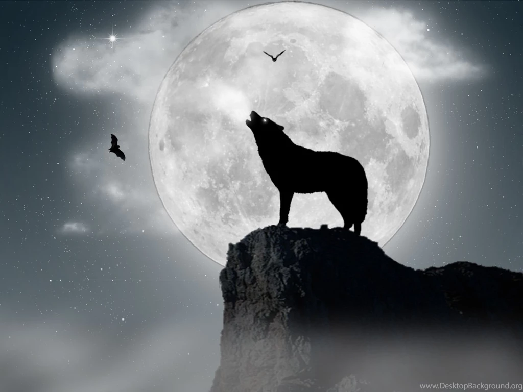 Wolf Under Full Moon.jpg