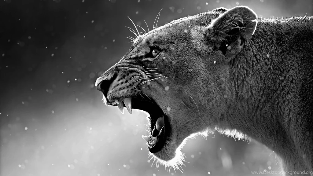 4k Wallpapers Archives HD Wide Wallpapers