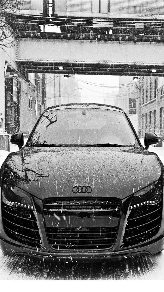 Audi R8 In Snow iPhone 5 Wallpapers (640x1136)