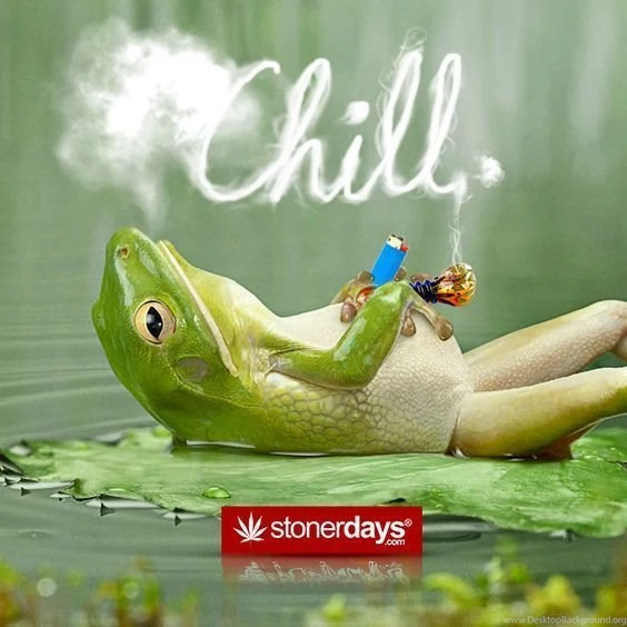Weed!! On Pinterest