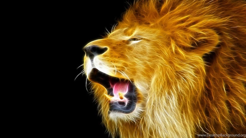 Lion Wallpapers
