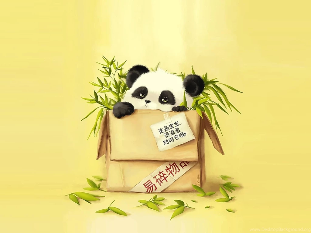 Panda In A Box Wallpapers And Images Wallpapers, Pictures, Photos