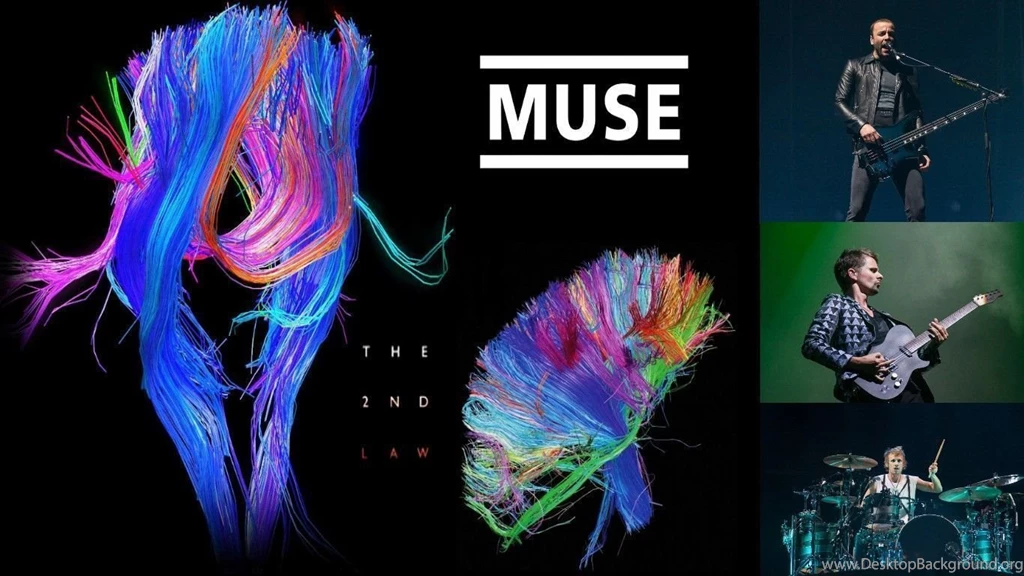 Muse Wallpapers HD Download