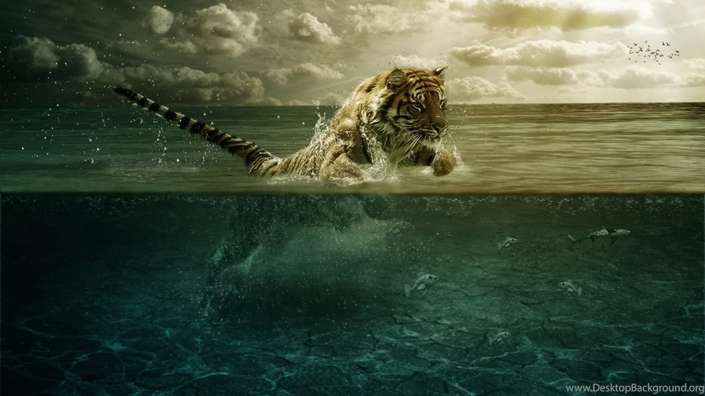 Download Wallpapers 1920x1080 Tiger, Jump, Sea, Underwater, Hunting ...