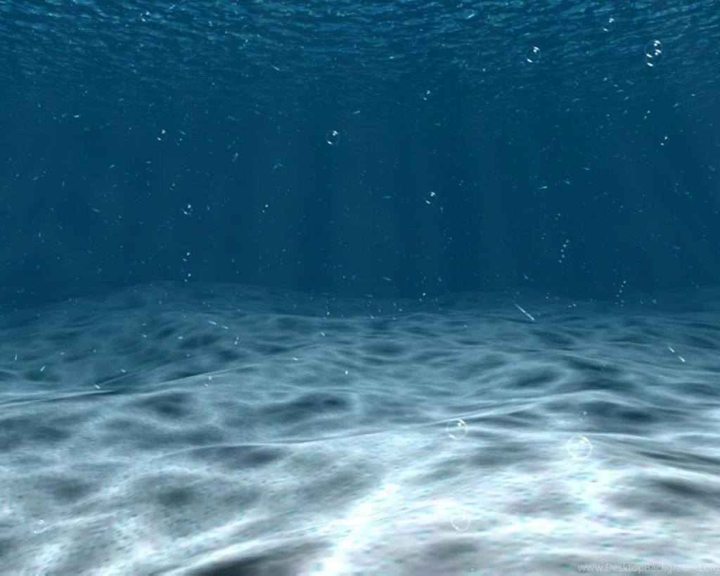 Tranquility Underwater Nature Blue Depth HD Wallpapers Wallpapers ...