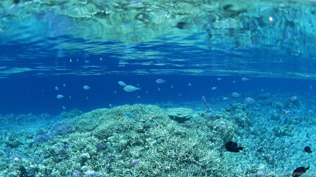 HDscreen: Underwater Desktop Bakcgrounds