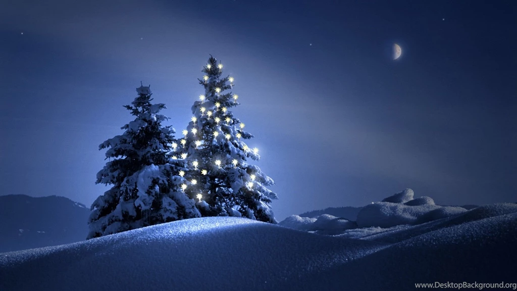 Christmas Trees Wallpaper Backgrounds 1 Funny And Amazing ...