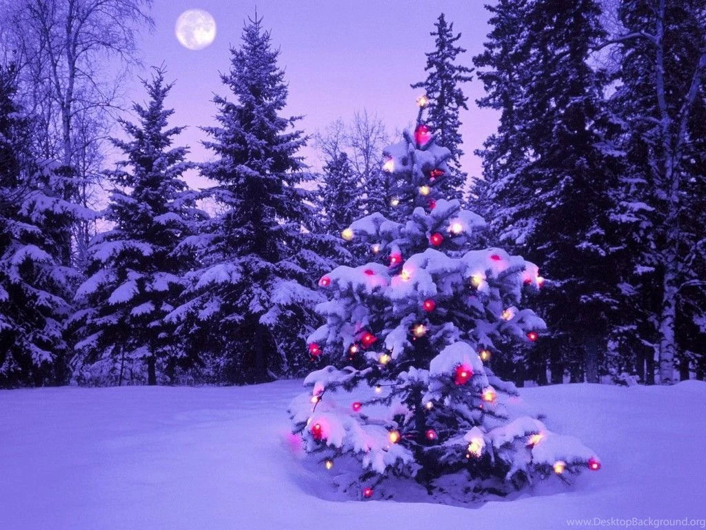Christmas Tree Wallpapers 2015