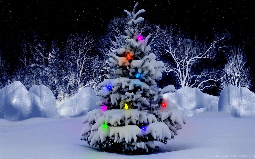 Beautiful Christmas Tree Wallpapers 15.jpg