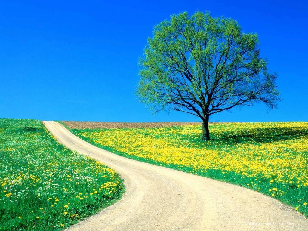HD Nature Landscape Wallpapers Free Download ~ Wallpapers And ...