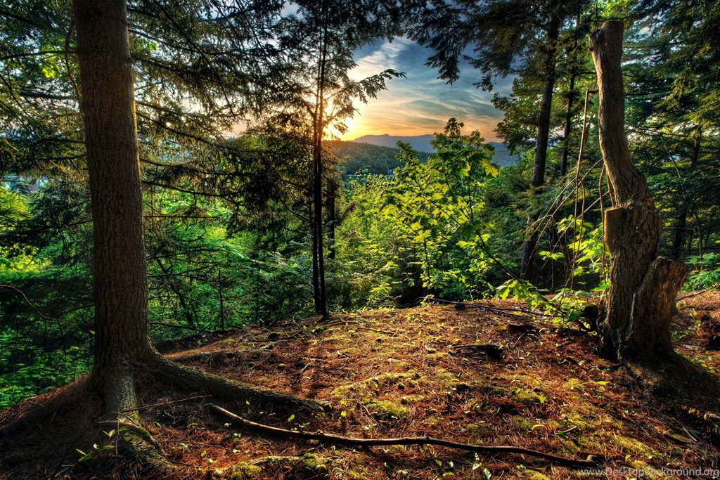 Landscape Computer Wallpapers, Desktop Backgrounds