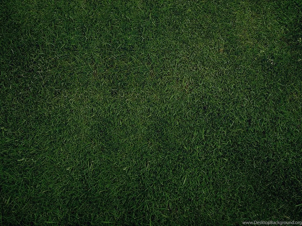 Wallpapers Plain Full Hd Backgrounds Gr Green 1024x768