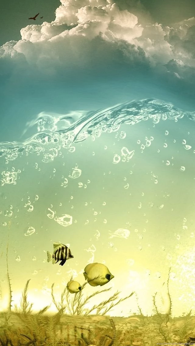 Fantasy iPhone 5s Wallpapers