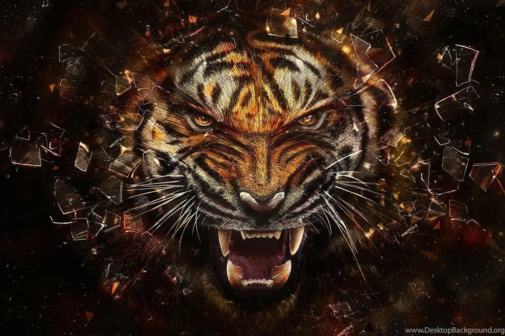 Tyga How About Some Tigers High Resolution