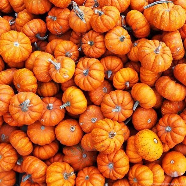 Halloween 2014 Pumpkins, Vectors, Posters, Backgrounds, Images ...