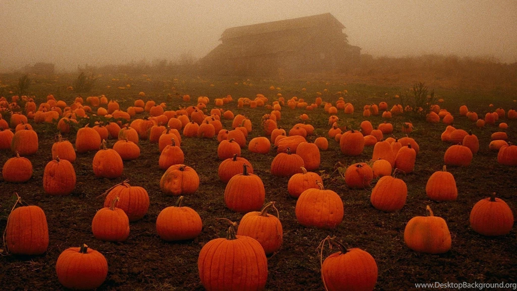 Creepy Pumpkin Field Wallpapers Desktop Backgrounds