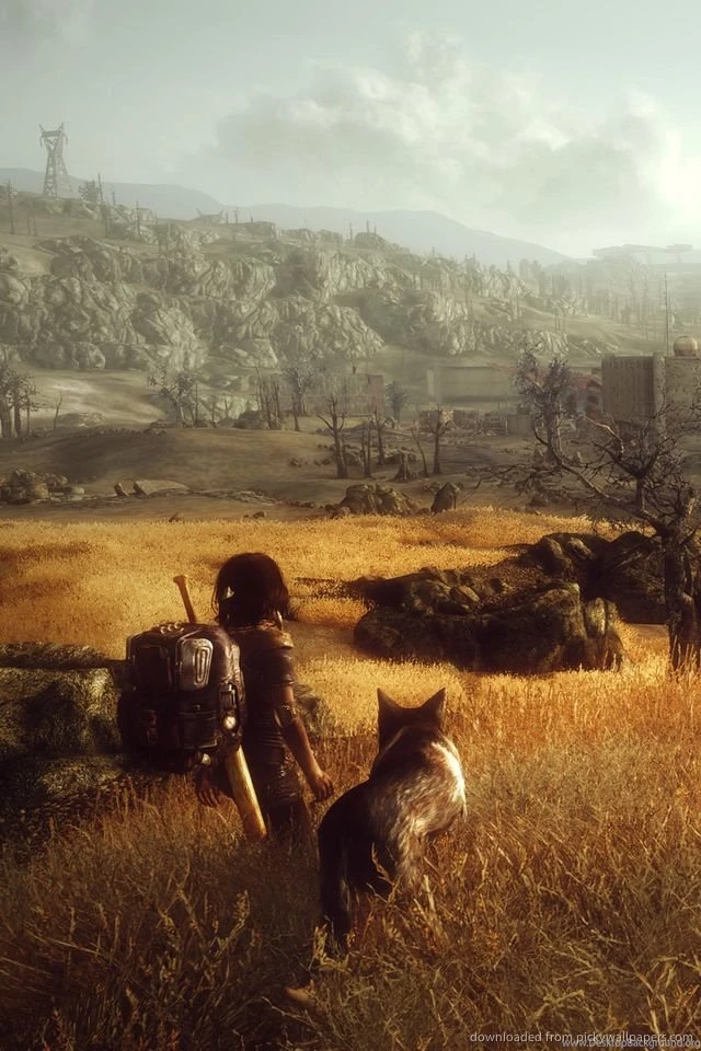 Download Fallout 3 Into Slavery Wallpapers For iPhone 4