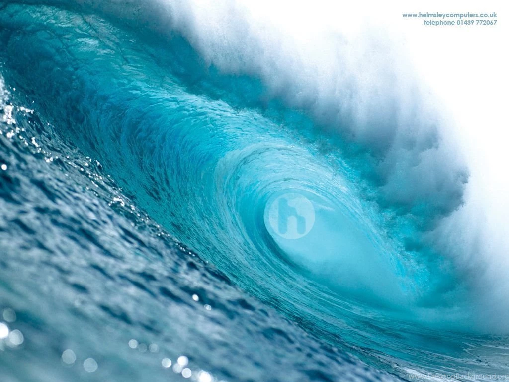 What Kind Of Wave Are You?