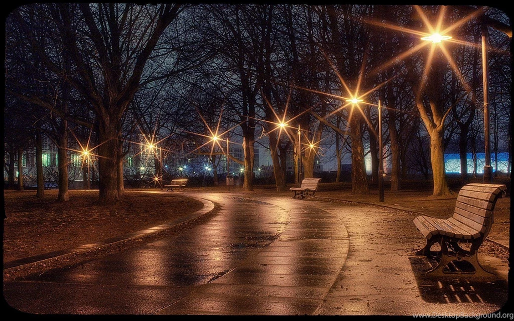 Rainy Night
