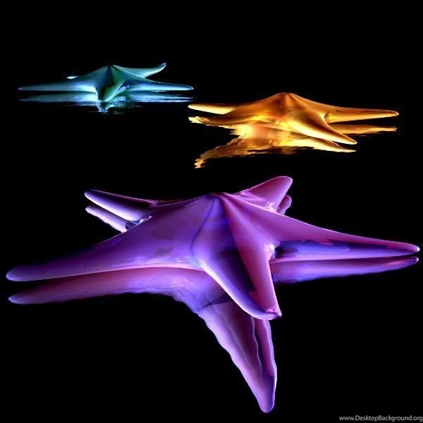 Neon Images On Pinterest