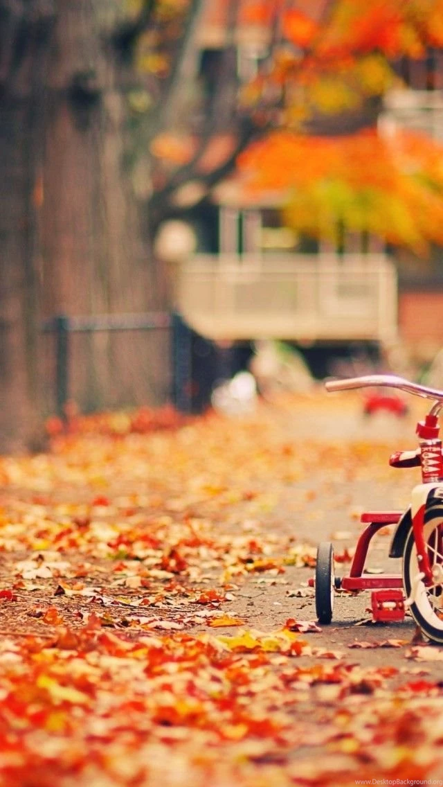 Wallpapers Weekends: On The Road Again