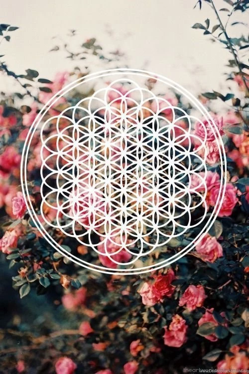 Bring Me The Horizon.:.:.:.:.:.