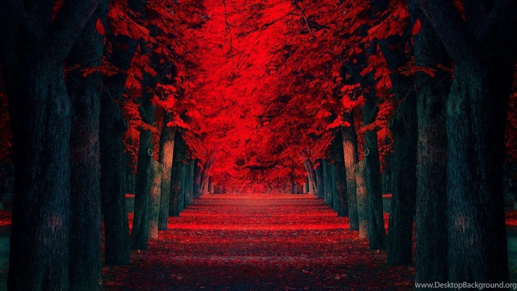 Free Download Red Leaves Covered Road Wallpaper, HQ Backgrounds ...